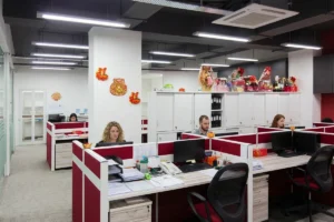 Office team engaged in daily business operations.
