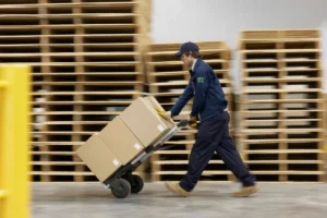 Worker pushing a cart while transporting a cardboard box.